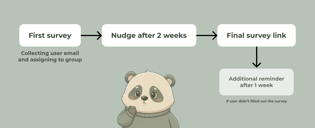 Survey flow: first survey → nudge after 2 weeks → final survey link → additional reminder